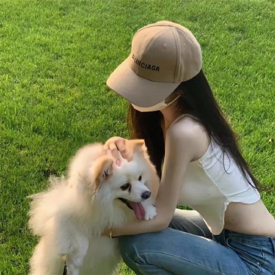 猫咪后院之家